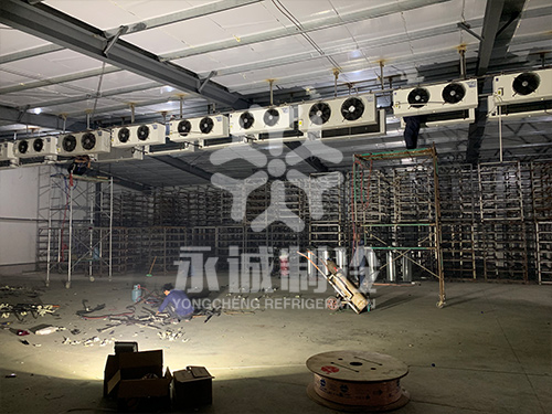 江蘇食用菌庫房改造現(xiàn)場